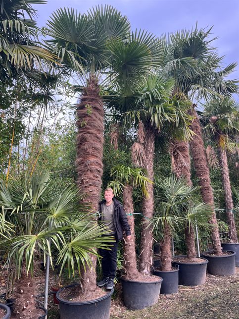 Snímek obrazovky 2025-11-25 134847